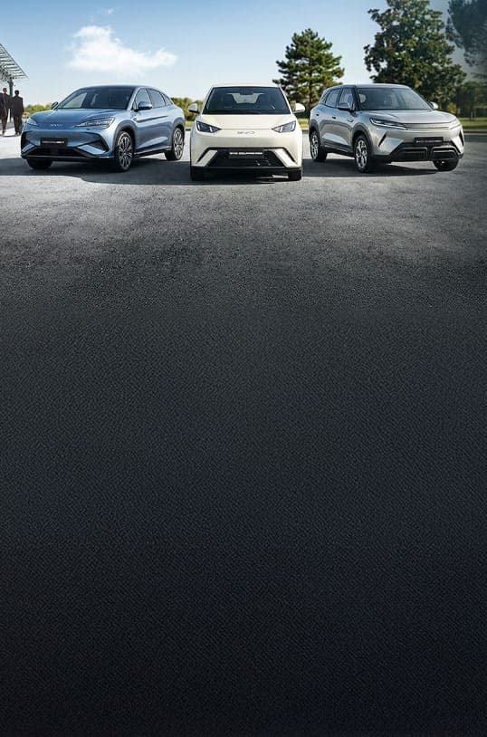 BYD Fleet Mobile